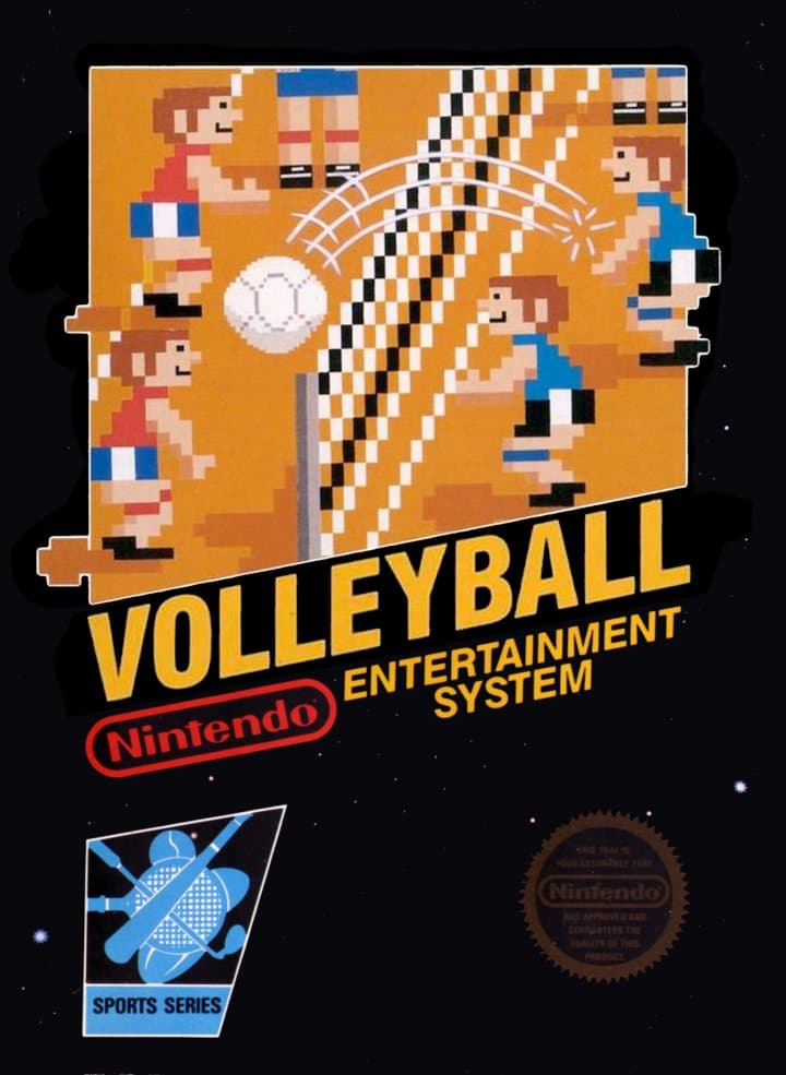 Cover art for Volleyball Twin